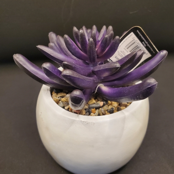 Nightmare before Christmas succulent decor - Picture 7 of 7